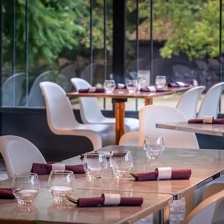 Отель Chateau Des Reynats Шанселад