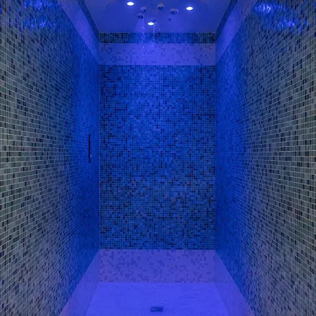 L'orangerie Du Château Des Reynats Hotel 4*