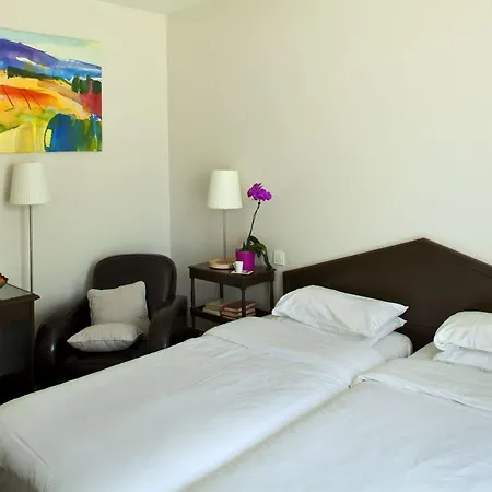 Отель Chateau Des Reynats 4*