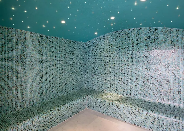 Hotel Chateau Des Reynats 4*