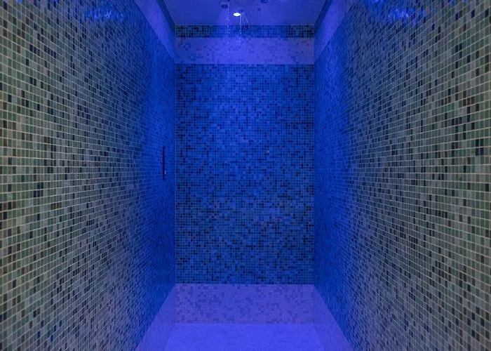 Chateau Des Reynats Hotel 4*